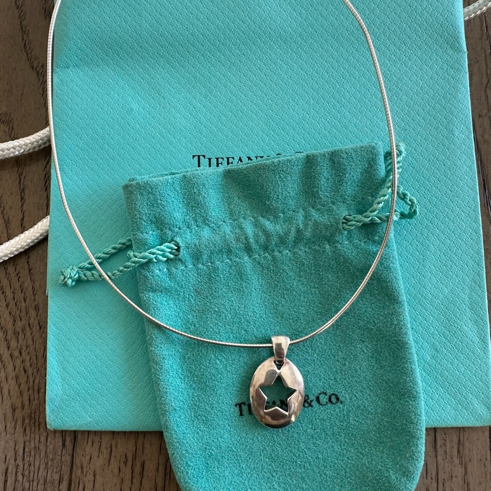 Tiffany & Co. Silver Oval Star Necklace - Picture 2 of 3